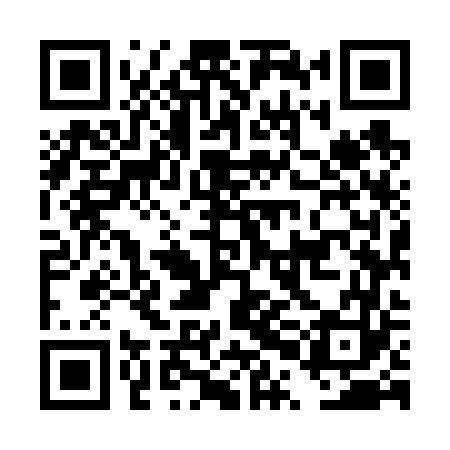 QR code for DPM663