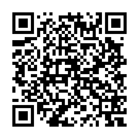 QR code for DPP068
