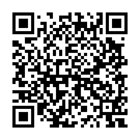 QR code for DPP091