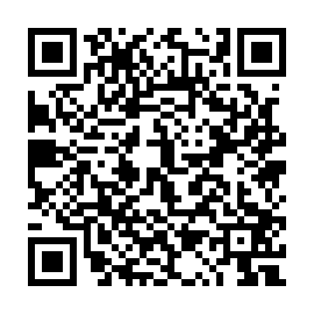 QR code for DQ11036