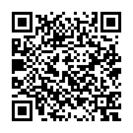 QR code for DQ17310