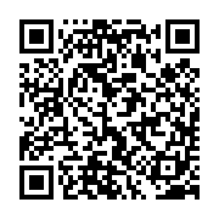 QR code for DQ2451