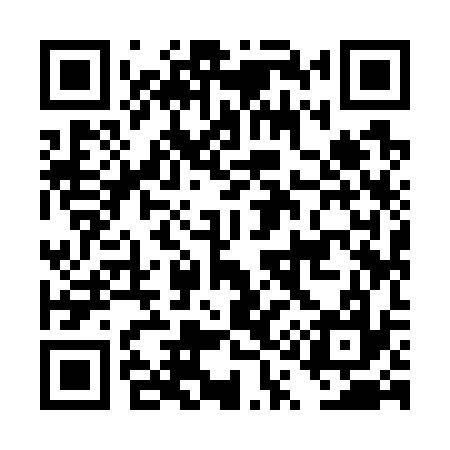 QR code for DQ9737