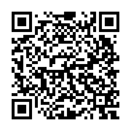 QR code for DQM651