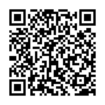 QR code for DQR539