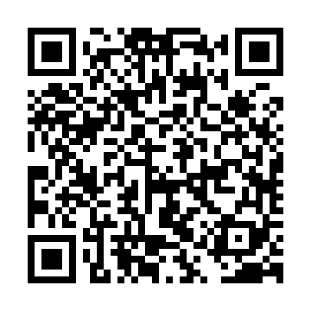 QR code for DQR969