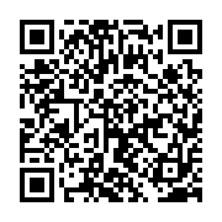 QR code for DQV313