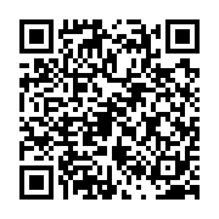QR code for DR17113