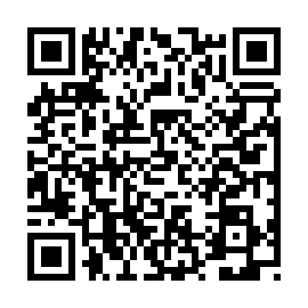 QR code for DR60384