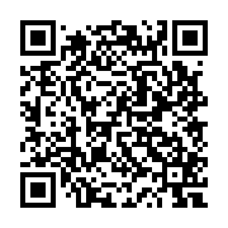 QR code for DS0105