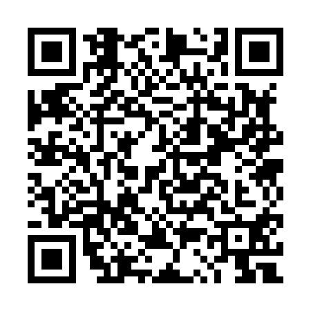 QR code for DS38107