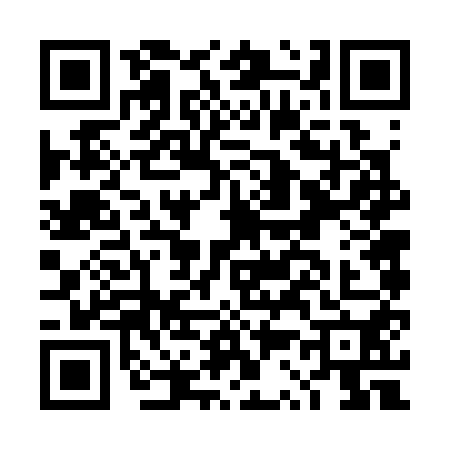 QR code for DS63509