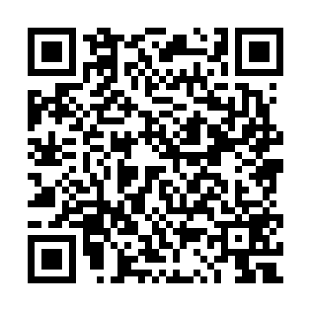 QR code for DS86595
