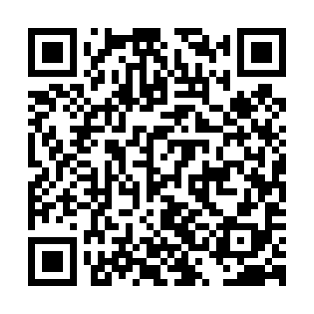 QR code for DSE498