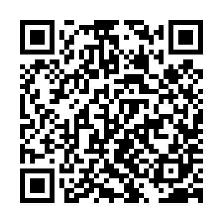 QR code for DSF480