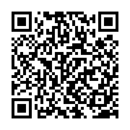 QR code for DSG550