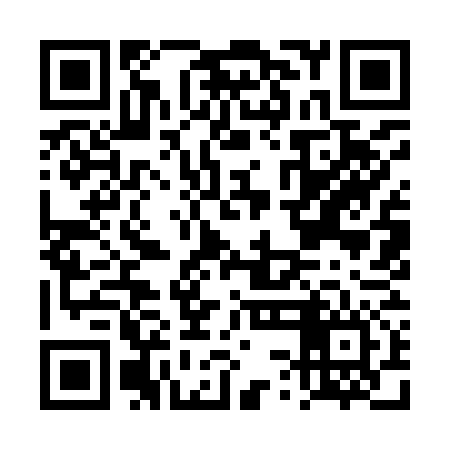 QR code for DSI976