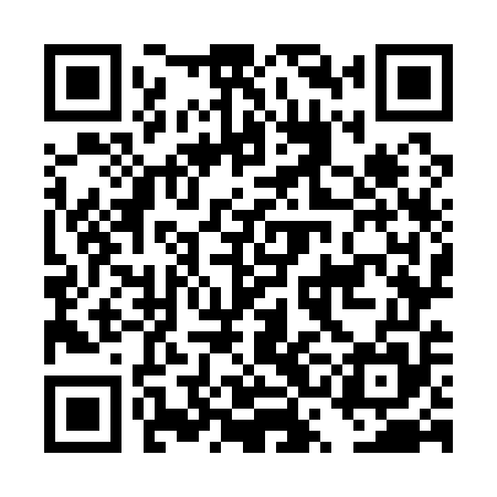 QR code for DSO155