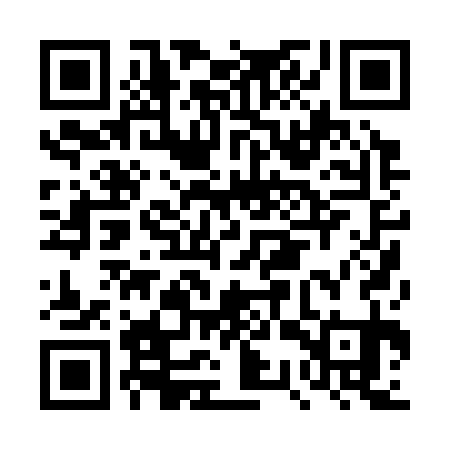 QR code for DSP331
