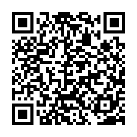 QR code for DST315