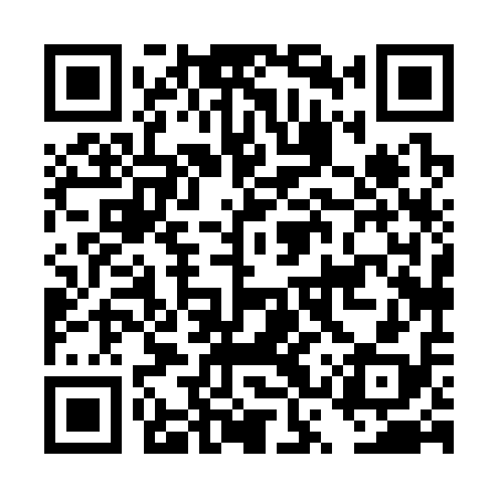 QR code for DSX318
