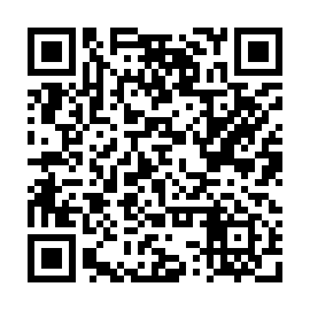 QR code for DSZ919