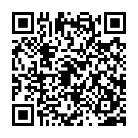 QR code for DT07265