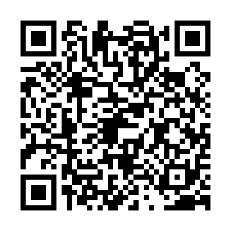 QR code for DT11117