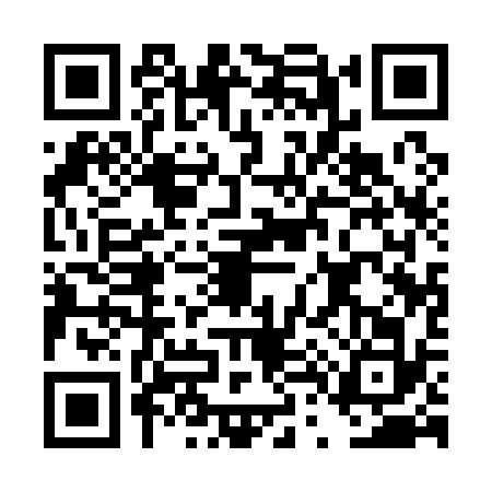 QR code for DT11320