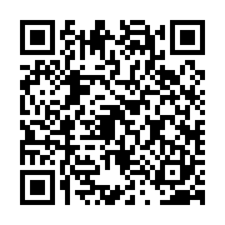 QR code for DT21234
