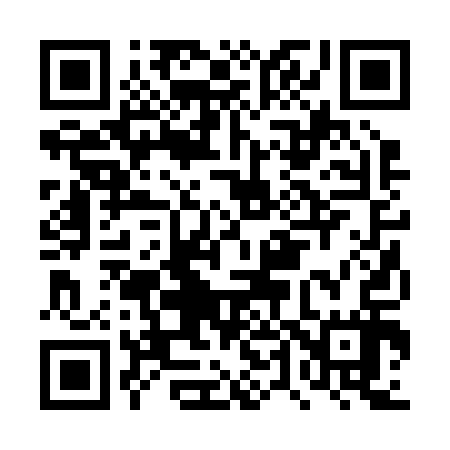 QR code for DT2217