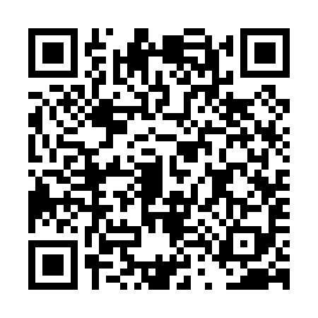 QR code for DT30993