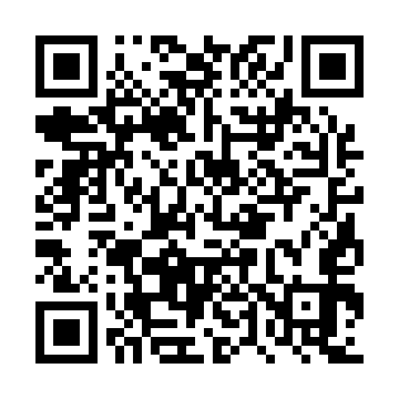QR code for DT3153