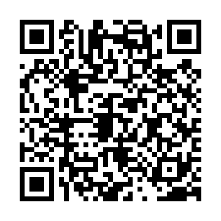 QR code for DT34313