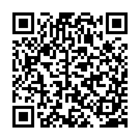 QR code for DT3941