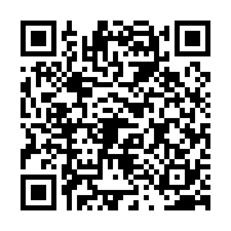 QR code for DT51300
