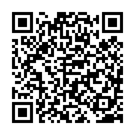 QR code for DT8498