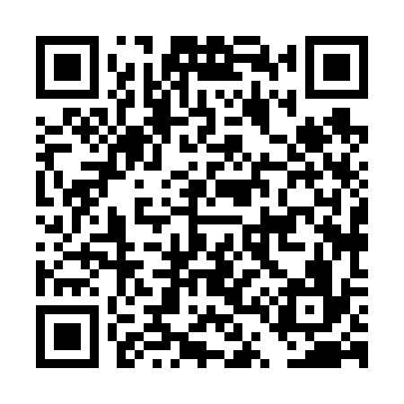 QR code for DT8636