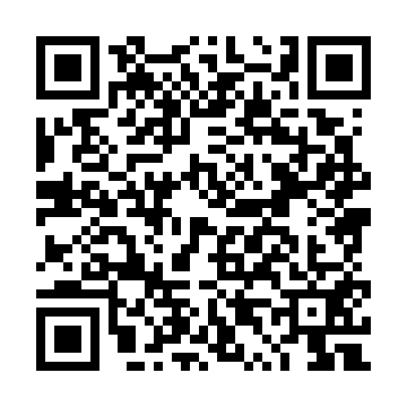 QR code for DT87513