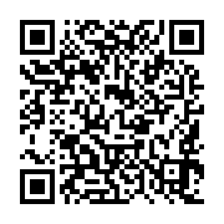 QR code for DT9993