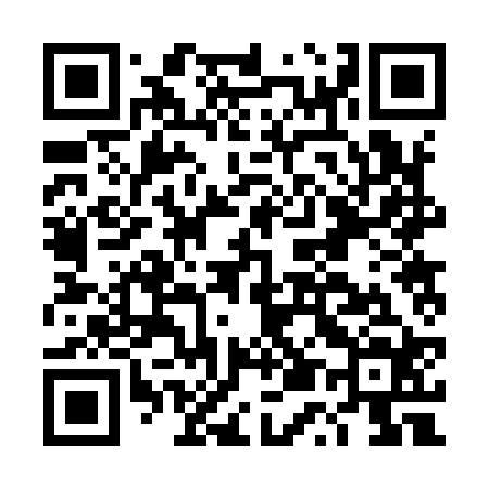 QR code for DU2924