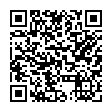 QR code for DUD386