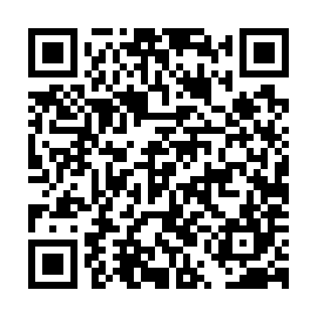 QR code for DUD784