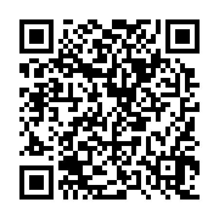 QR code for DUL306