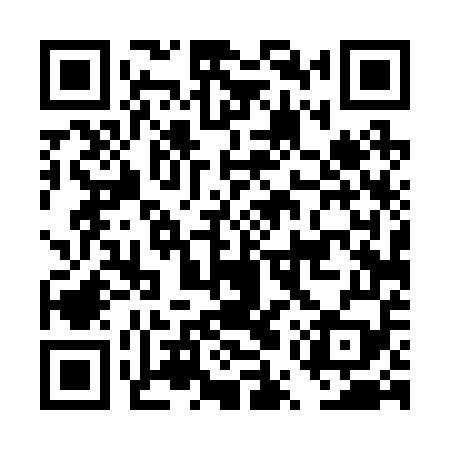 QR code for DUT259