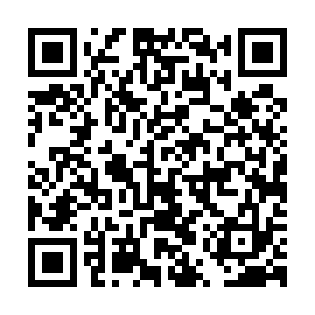 QR code for DUT533