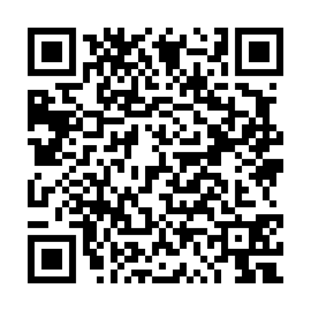 QR code for DV94300