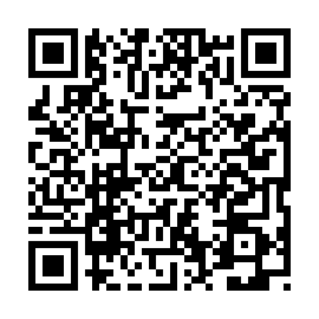 QR code for DV95601