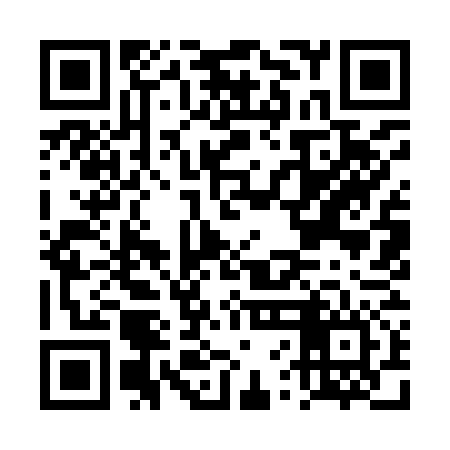 QR code for DVI976