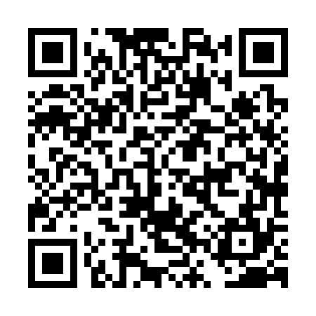 QR code for DVX374